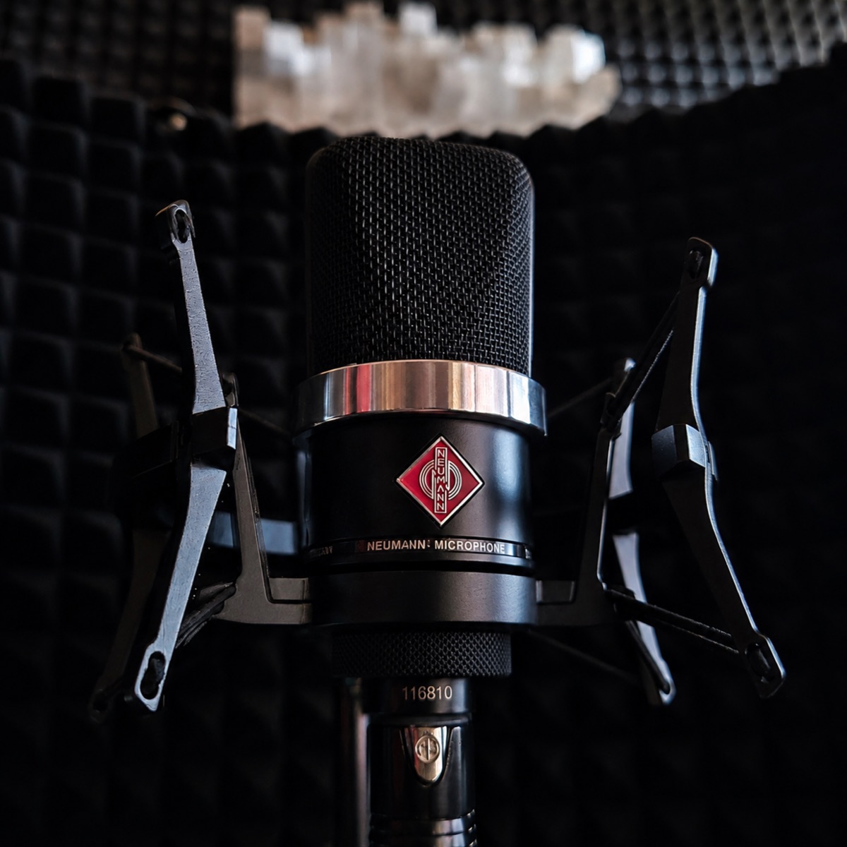Neumann microphone in a treated vocal booth